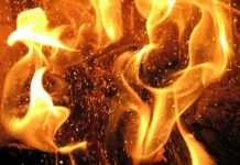 Кам’янчан попередили про пожежну небезпеку