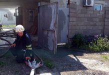 В Кам’янському горів приватний будинок: фото