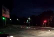 Біля Курилівки на трасу висипались протухлі кишки: подробиці