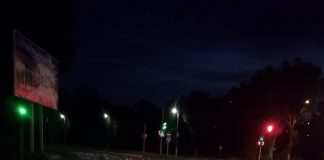 Біля Курилівки на трасу висипались протухлі кишки: подробиці