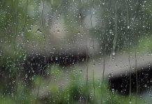 Через зливу в Кам’янському зупинився рух трамваїв та знеструмило Романкове