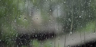 Через зливу в Кам’янському зупинився рух трамваїв та знеструмило Романкове