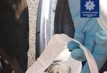 Кам’янчанку затримали з наркотиками: фото