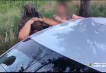 Поліція накрила наркобізнес на півмільйона: відео