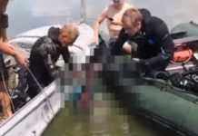 На Дніпропетровщині затримали чоловіка, що вбив і втопив співмешканку: відео