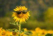 Метеорологи попереджають про пожежонебезпечну погоду