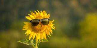 Метеорологи попереджають про пожежонебезпечну погоду