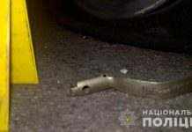 На Дніпропетровщині затримали чоловіка, що кинув гранату в підприємця