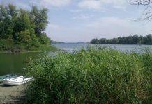 В Кам’янському потонув 30-річний чоловік