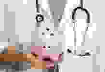 В Кам’янському на лікарні витратять 331 мільйон гривень