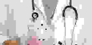 В Кам’янському на лікарні витратять 331 мільйон гривень