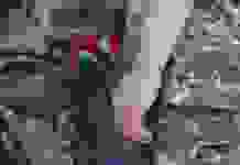 Родинам загиблих воїнів оплатять поїздку в Київ на вшанування