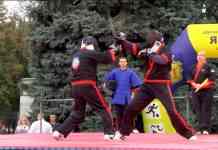 В Кам’янському відбувся фестиваль східних єдиноборств