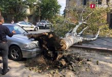 Страшный ураган в Грузии: есть пострадавшие