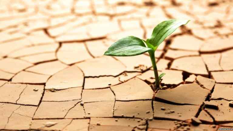 Учёные говорят об аномальных изменениях экосистемы Европы