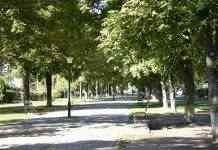 В Кам’янському відремонтують центральний сквер