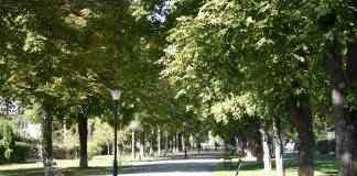 В Кам’янському відремонтують центральний сквер