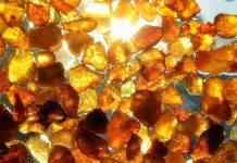 Рада приняла в первом чтении законопроект о добыче янтаря