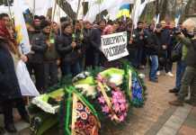 Акции протеста против продажи земли: к ВР принесли мёртвую свинью