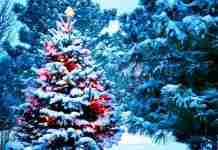 Театр Кам’янського приготував для містян новорічну казку