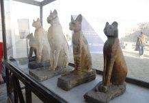 В Египте представили обнаруженные мумии древних животных