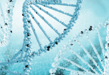 Американский генетик разработает приложение для «ДНК-знакомств»