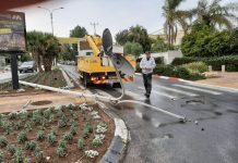 Стихия в Израиле: сильные ливни и ураганный ветер, есть пострадавшие