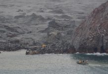 В Новой Зеландии нашли шесть тел жертв извержения вулкана