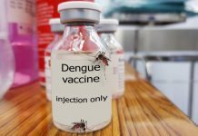 На Филиппинах от лихорадки денге умерло полторы тысячи человек