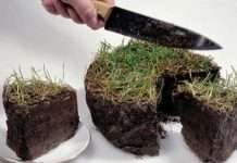 Закарпатских чиновников подозревают в растрате госимущества