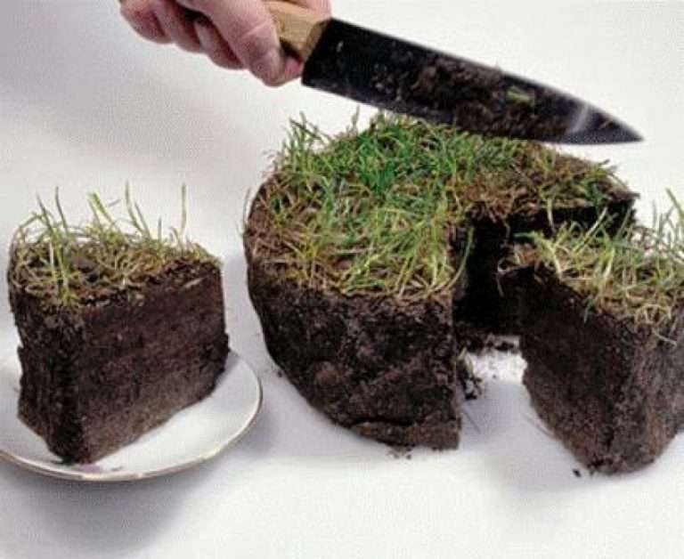 Закарпатских чиновников подозревают в растрате госимущества