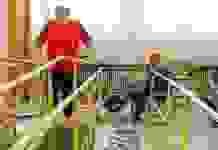 Зеленский подписал закон о социальной защите ветеранов