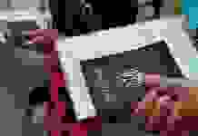 Количество переселенцев в Украине сократилось