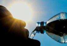 Новые микробы и смертность от жары: результаты глобального потепления