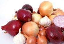 Фермеры южного региона Украины начали отгружать лук на экспорт