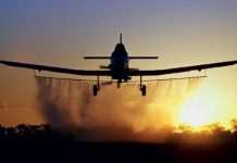 В Колумбии поля с растениями для наркотиков будут поливать ядом