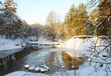 Прогноз погоды в Украине: погода мартовская