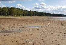 Обмеление Шацких озёр на Волыни: возбуждено уголовное дело