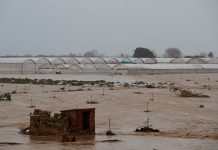 Ураган «Глория» нанёс сельскому хозяйству Испании колоссальные убытки