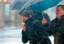 В Украине ожидаются штормовой ветер и мокрый снег, – синоптики