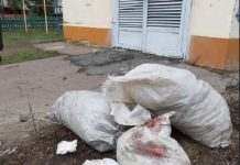 На Сумщине нашли мешки с трупами собак и котов