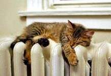 Майбутнє опалення у Кам’янському – квартальні котельні