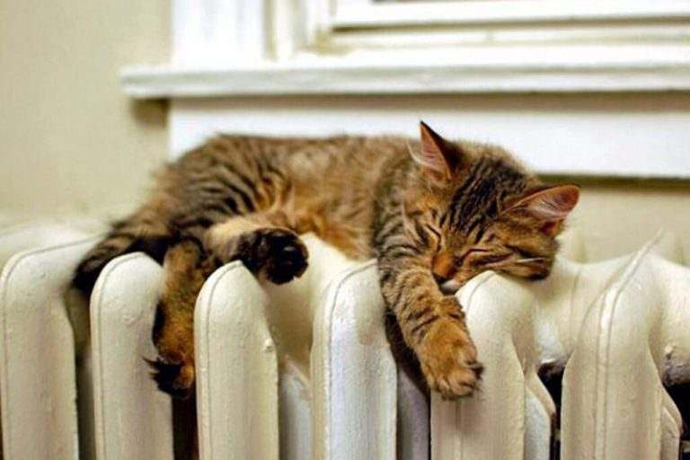 Майбутнє опалення у Кам’янському – квартальні котельні