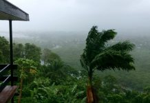 В сторону Австралии движется циклон, ожидаются ливни и ураган