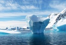 Самый крупный в мире айсберг вот-вот выйдет в открытый океан