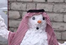 Багдад засыпало снегом – впервые за 12 лет