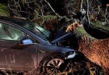 Благодаря автопилоту Tesla семья британцев выжила в урагане