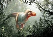 «Жнец смерти»: учёные открыли прародителя тираннозавров