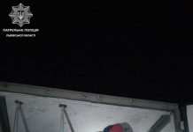 Возле Львова в фуре с яблоками нашли четырёх нелегалов из Афганистана