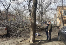 Ураган в Украине: первые жертвы, поваленные деревья и сорванные крыши